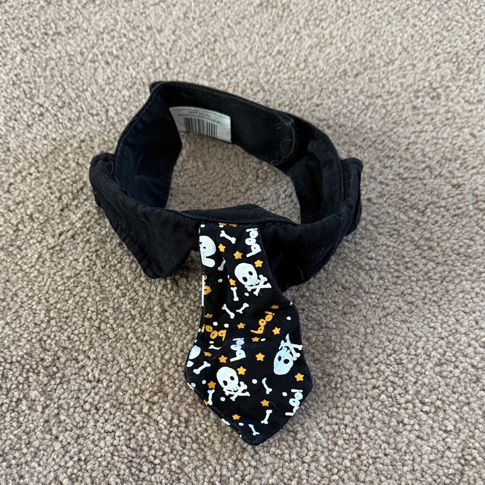 Black Halloween Skull Tie Collar
